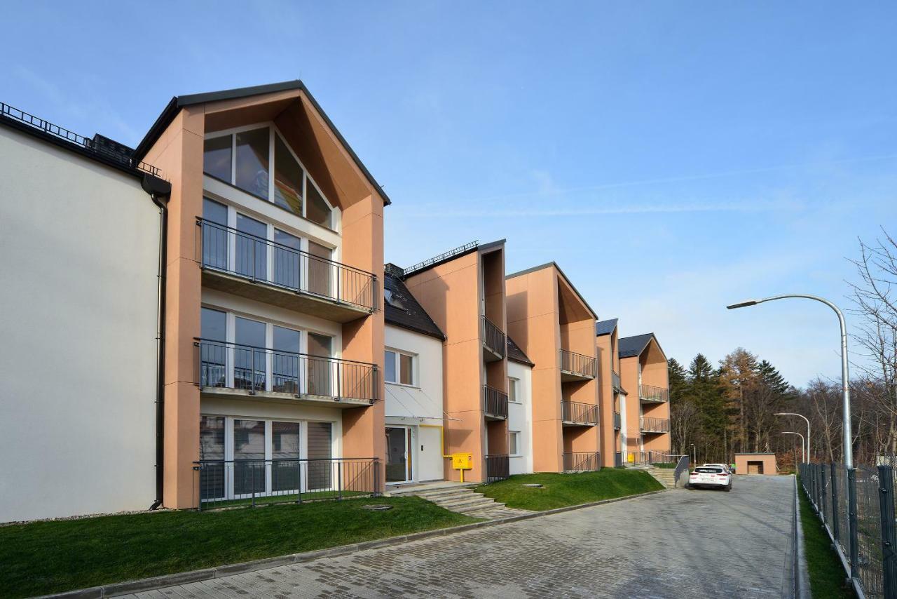 Apartament Sun&Ski Willa K2 Black&White Karpacz Esterno foto